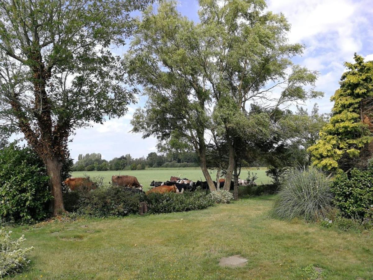 Vinkelaar 11 Terschuur Exterior foto